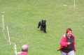 Welpentreffen_2014 